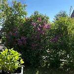 Appartement Birkenblick Ruegen *