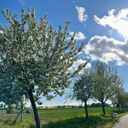 Birkenblick Ruegen Samtens