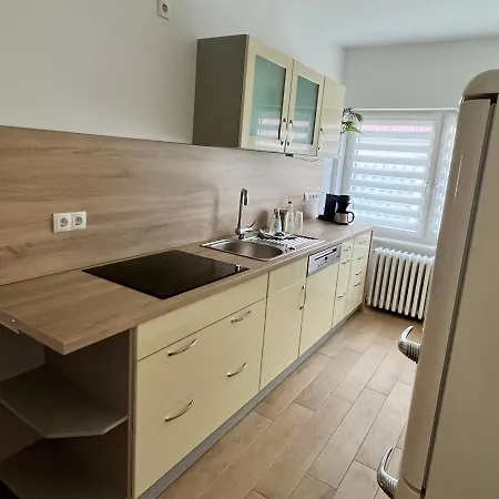 Birkenblick Ruegen Samtens